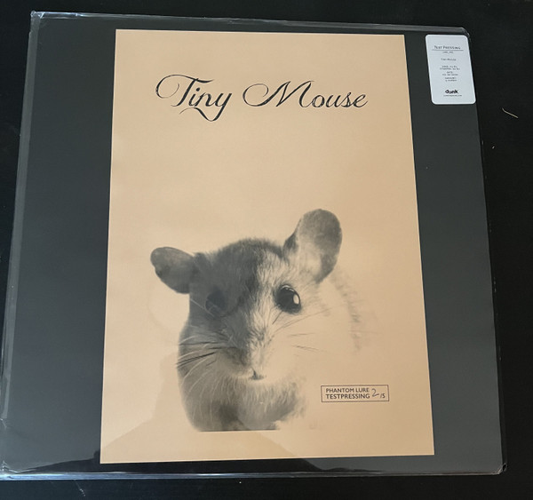 tiny mouse - beautiful day