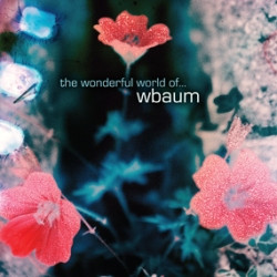 wbaum - spaces 3