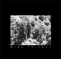 wire thicket - dust, static