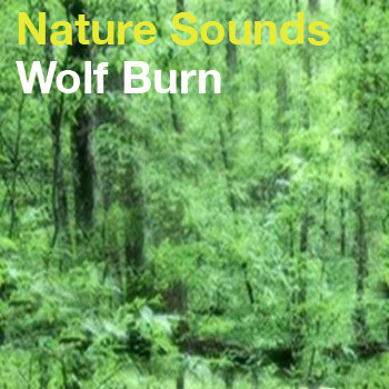 wolf burn - Blackdown