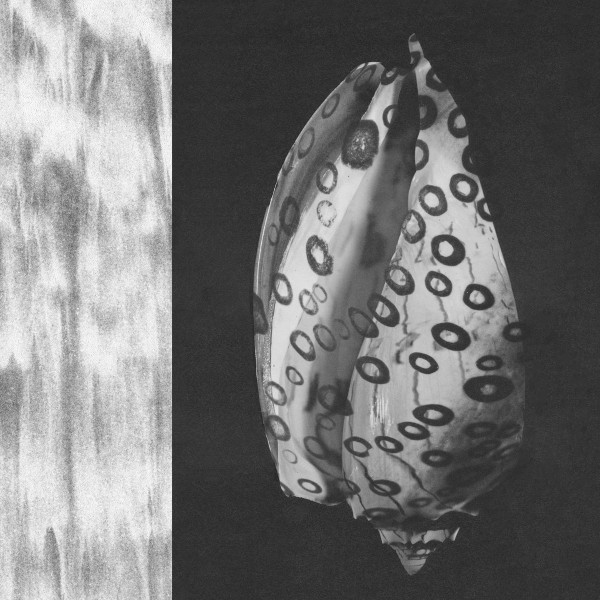 yolabmi - To Nocturnal Fellows