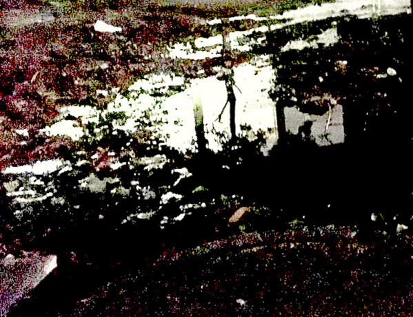 yutakayanagi - murmured
